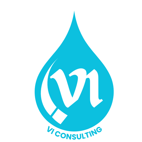 ABOUT US iv consulting